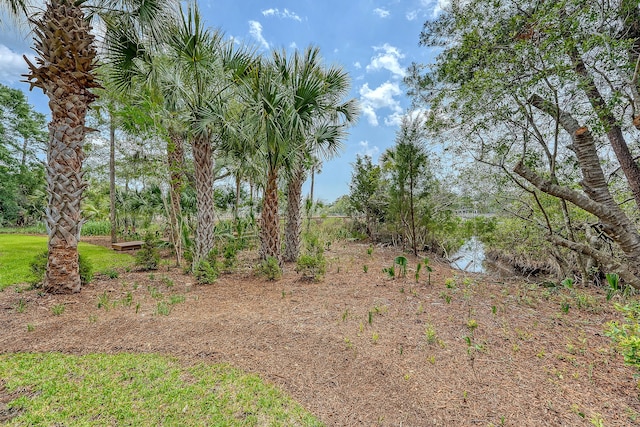 3331 Cottonfield Dr, Mount Pleasant, SC 29466 - view of yard