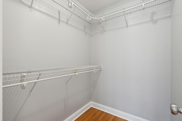 spacious closet with hardwood / wood-style flooring