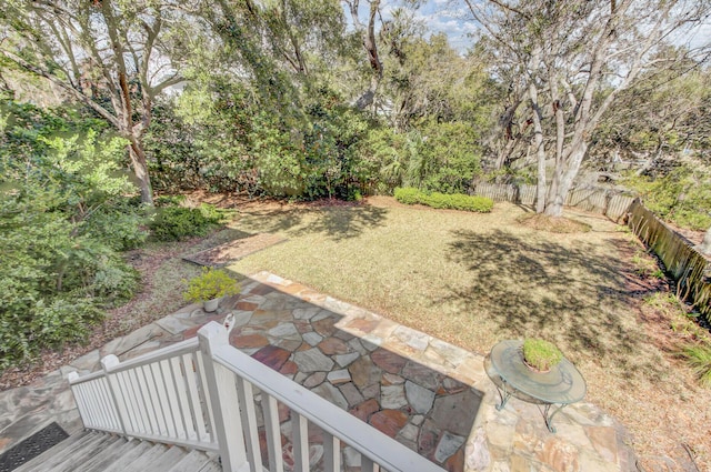 view of yard with a patio area and a fenced backyard