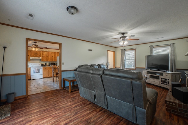 6427 Quimby Rd, Dalzell, SC 29040 - living room featuring a ceiling fan, a wainscoted wall, ornamental molding, a textured ceiling, and wood finished floors