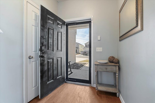 foyer with wood-type flooring