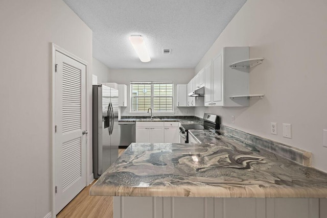 4591 Great Oak Dr, North Charleston, SC 29418 - kitchen featuring open shelves, a sink, a peninsula, under cabinet range hood, and stainless steel appliances