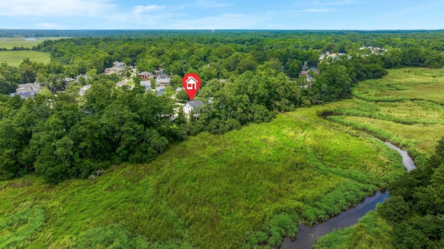 8605 Refuge Point Cir N, Charleston, SC 29420 - aerial view of a forest