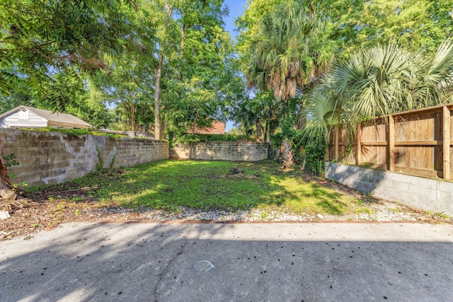 view of yard with a patio and a fenced backyard