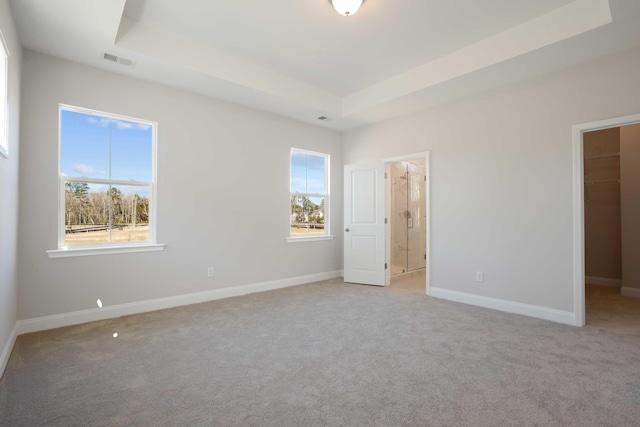 unfurnished bedroom featuring a raised ceiling, multiple windows, and a spacious closet