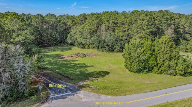 1849 Shulerville Rd, Jamestown SC, 29453 land for sale