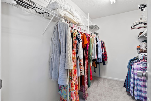 spacious closet featuring carpet floors