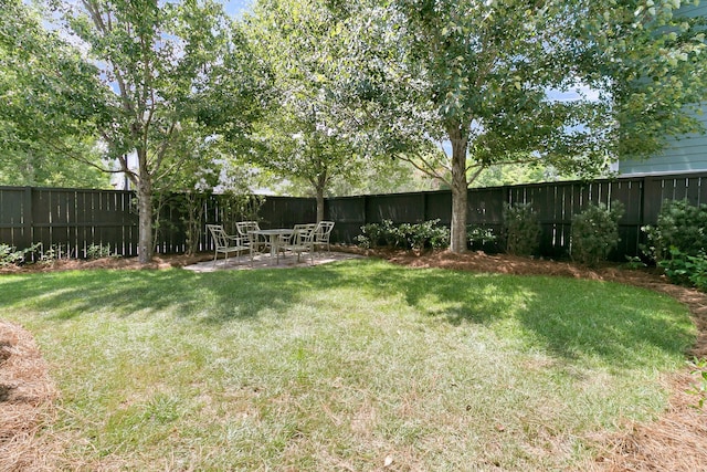 2405 Louisville St, Charleston, SC 29492 - view of yard featuring a patio area and a fenced backyard