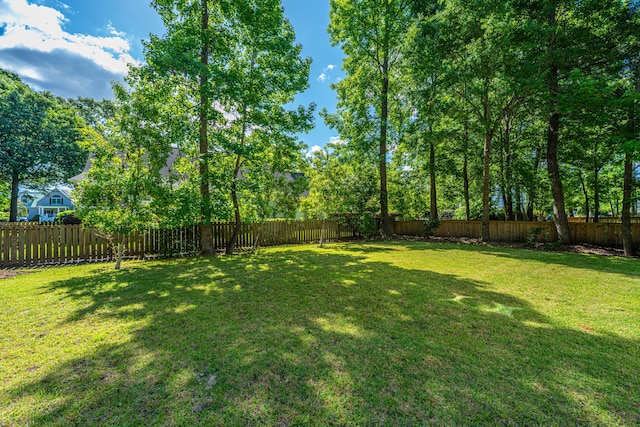 view of yard with a fenced backyard