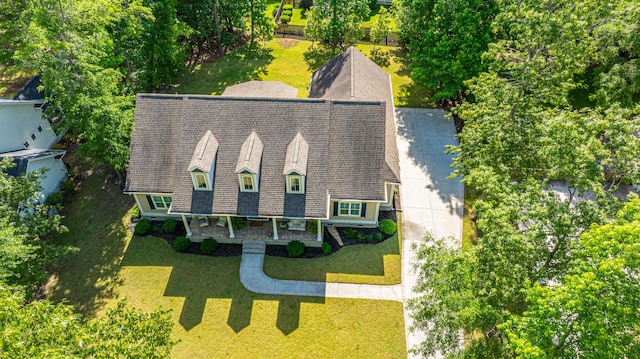 bird's eye view
