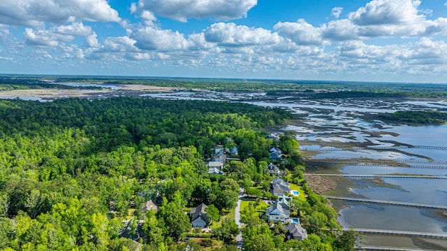 bird's eye view featuring a water view and a wooded view