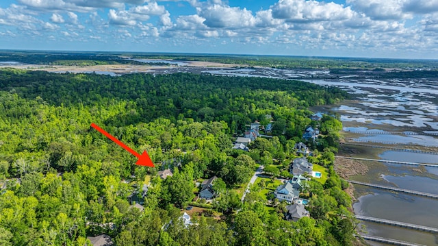 birds eye view of property with a water view and a forest view