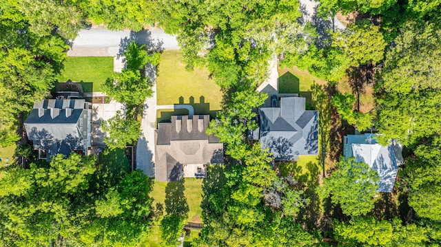 drone / aerial view