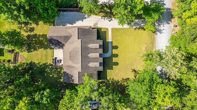 bird's eye view