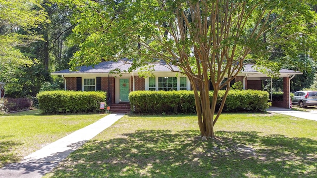 113 Overhill Dr, Walterboro, SC 29488 - view of front facade with brick siding, a front yard, a carport, and entry steps
