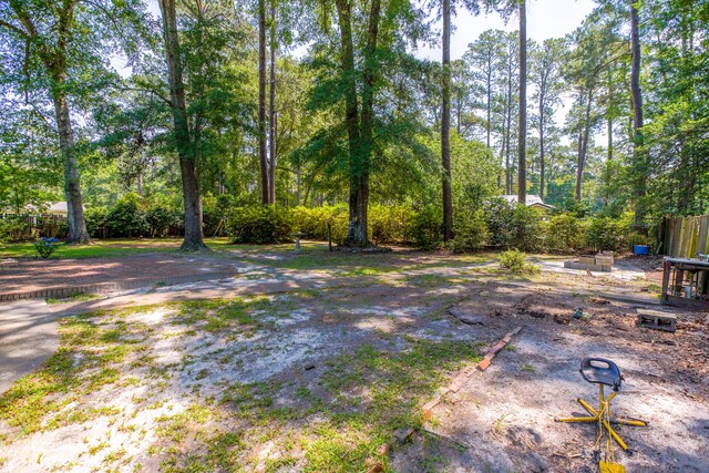 113 Overhill Dr, Walterboro, SC 29488 - view of yard