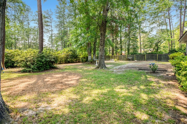 113 Overhill Dr, Walterboro, SC 29488 - view of yard