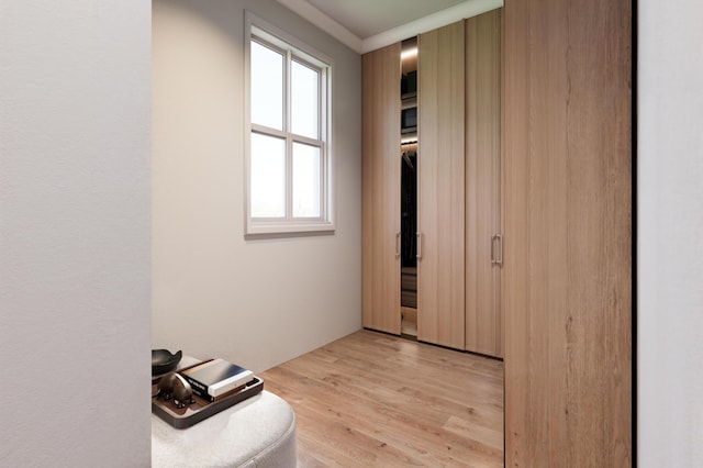 814 Palm Blvd, Isle Of Palms, SC 29451 - view of closet