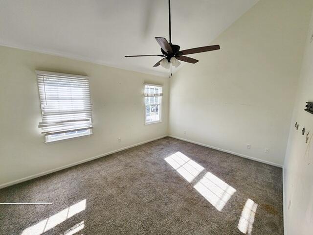 carpeted spare room with plenty of natural light, ceiling fan, and lofted ceiling