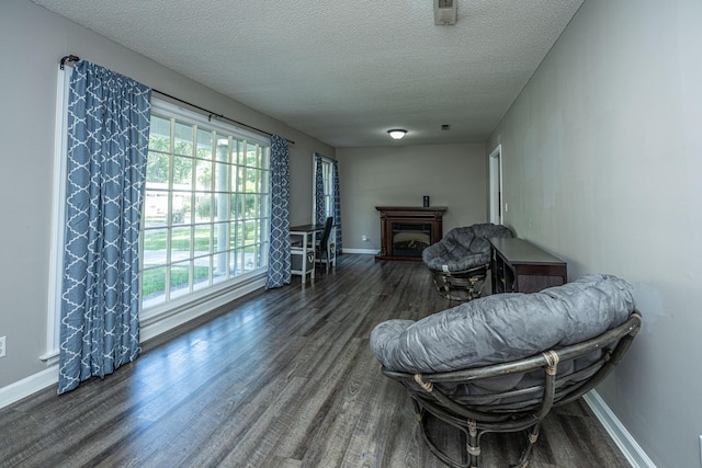 living area with a textured ceiling and dark hardwood / wood-style floors