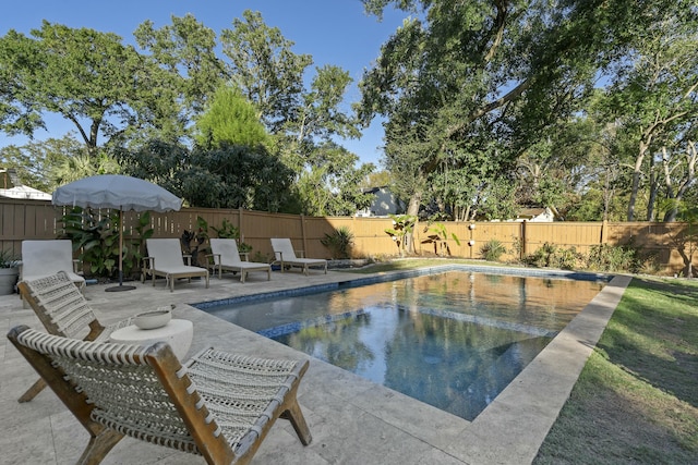 view of pool featuring a patio