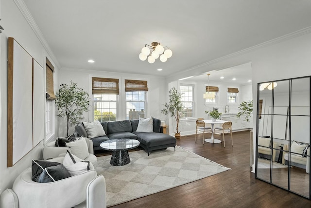 living room featuring dark hardwood / wood-style floors, crown molding, and a chandelier