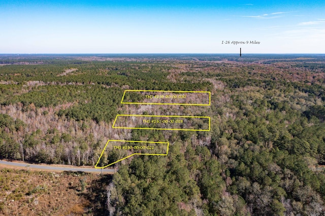 1 Dennis Britt Rd, Saint George SC, 29477 land for sale