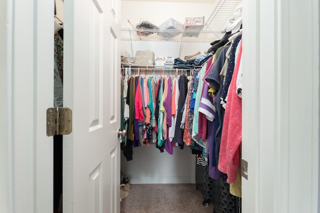 walk in closet featuring carpet flooring