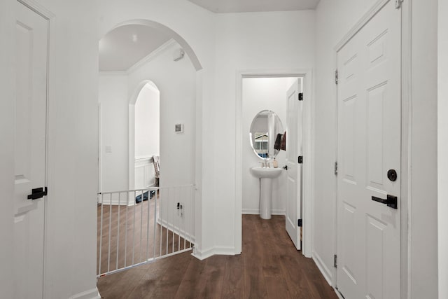 corridor with dark hardwood / wood-style flooring