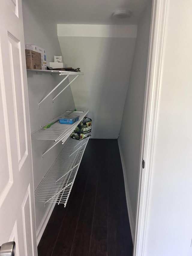 walk in closet with wood finished floors