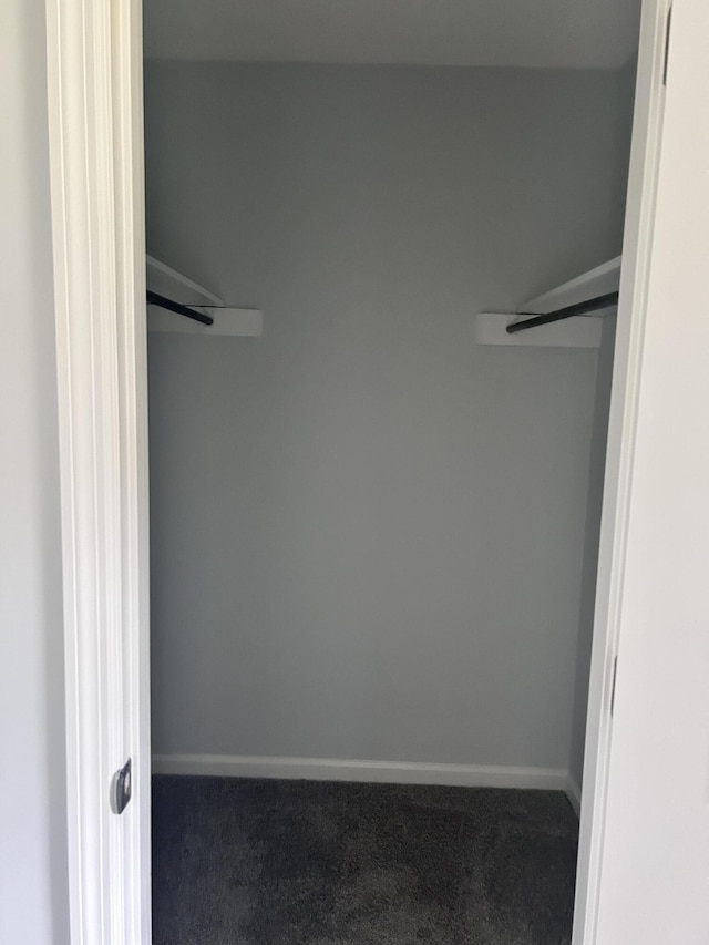 walk in closet with dark carpet