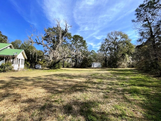 view of yard with a storage unit