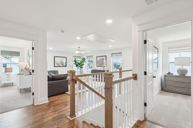 stairs featuring a healthy amount of sunlight and hardwood / wood-style flooring