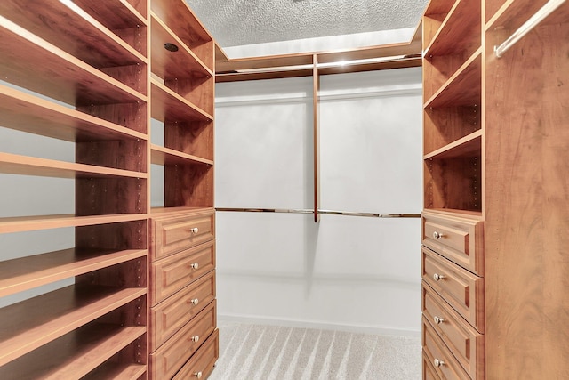 320 Compton Xing, Summerville, SC 29485 - walk in closet featuring carpet floors