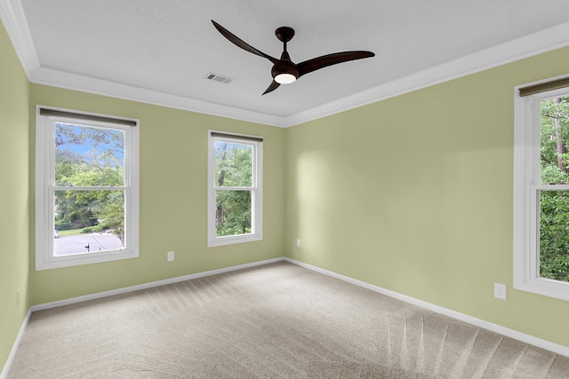 320 Compton Xing, Summerville, SC 29485 - carpeted spare room featuring crown molding, ceiling fan, and baseboards