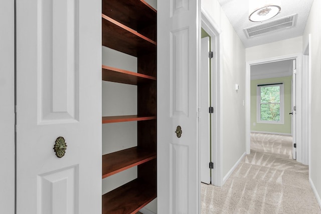 320 Compton Xing, Summerville, SC 29485 - hallway with baseboards and light colored carpet