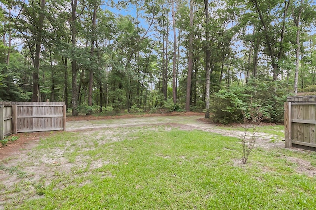 320 Compton Xing, Summerville, SC 29485 - view of yard