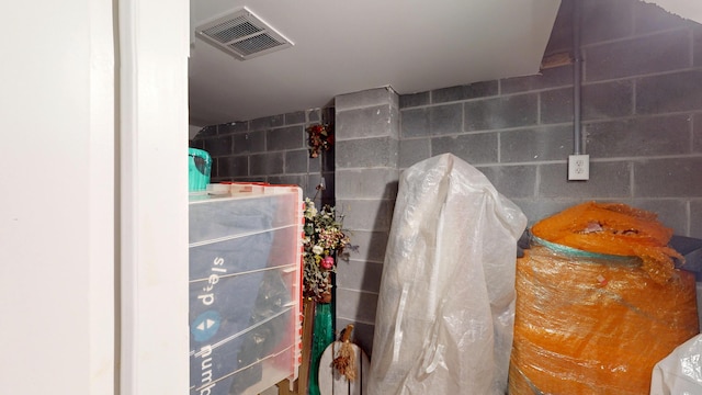 2312 Rushland Landing Rd, Johns Island, SC 29455 - bathroom with concrete block wall
