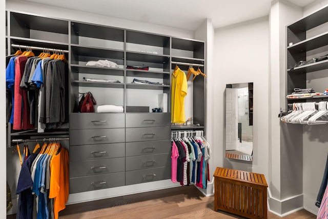 1234 Captain Rivers Dr, Charleston, SC 29412 - spacious closet with wood finished floors