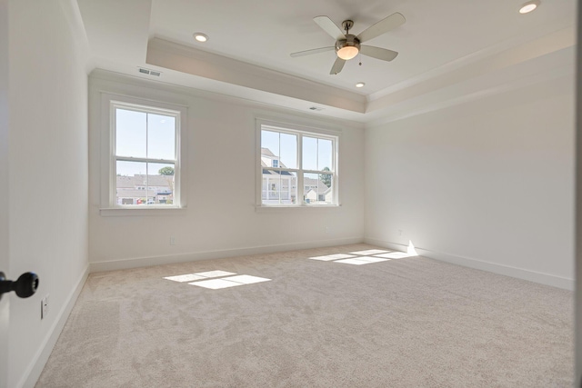 spare room with a wealth of natural light, a tray ceiling, baseboards, and carpet