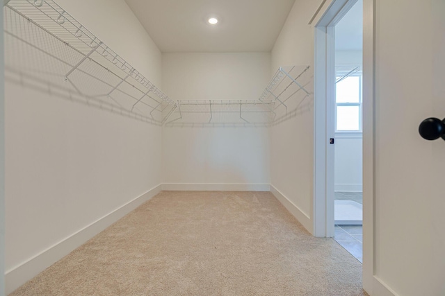 walk in closet with light carpet