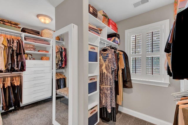 spacious closet featuring carpet floors