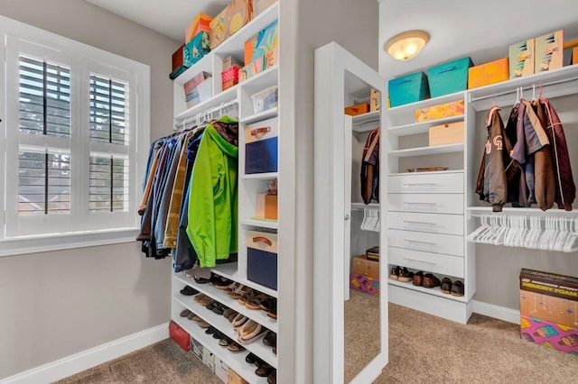 spacious closet with carpet