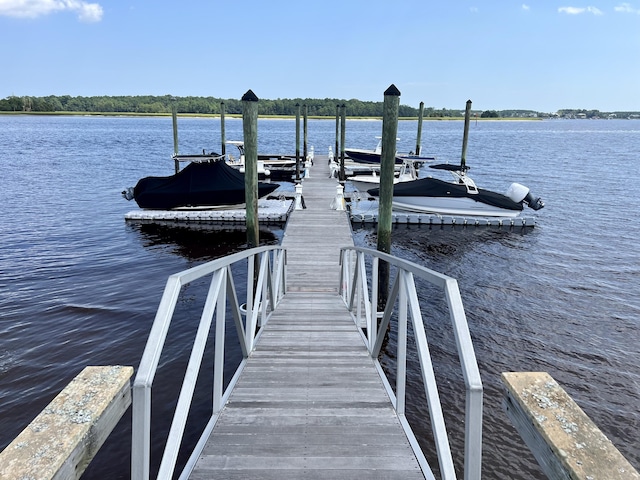 dock area with a water view