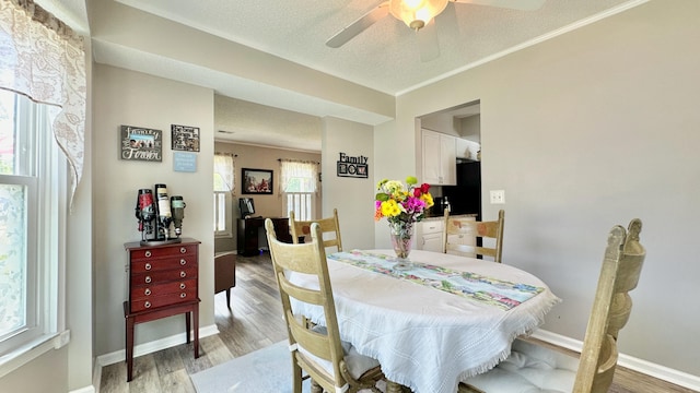dining area with light wood finished floors, ceiling fan, crown molding, and baseboards