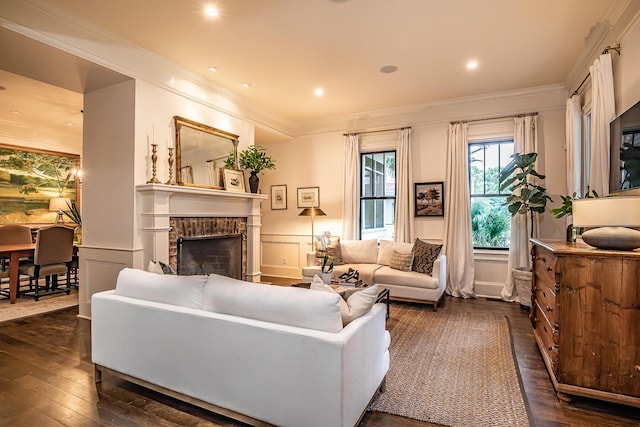 living room featuring dark hardwood / wood-style flooring, ornamental molding, and a fireplace