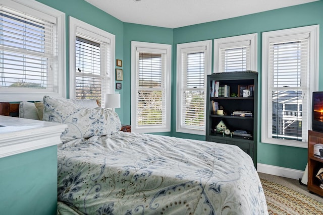 carpeted bedroom with multiple windows