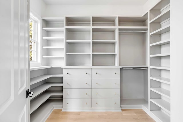 walk in closet with light wood-type flooring