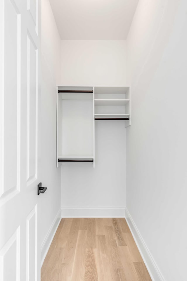 spacious closet featuring light hardwood / wood-style flooring