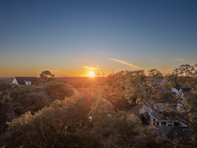 view of nature at dusk